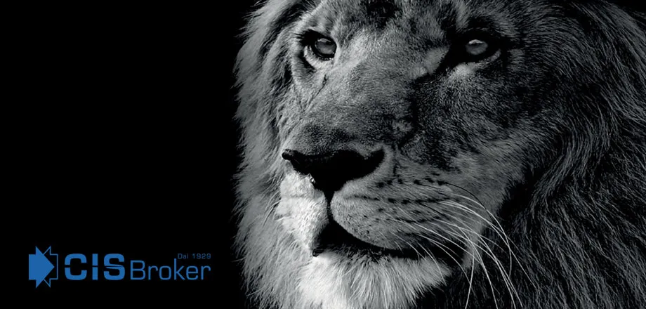 Cis Broker Eccellenza Assicurativa