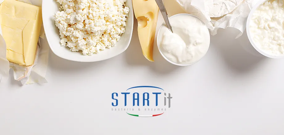 STARTit Bacteria & Enzymes for Dairy Industry