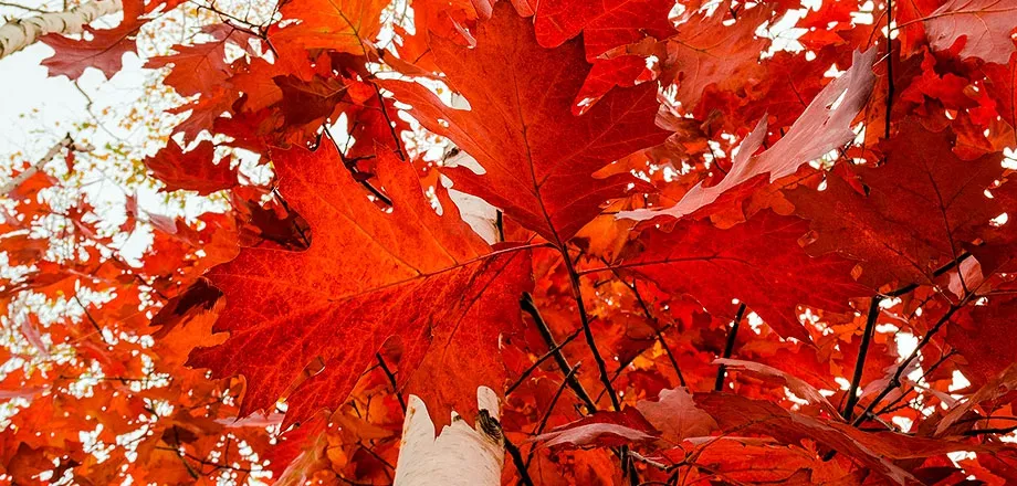 Miglioli DON'T WASTE !