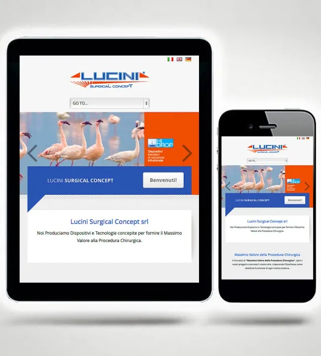 Web Design, Web Site, Posizionamento Siti Web (SEO), Responsive Smartphone & Tablet, Content Management Systems (CMS), Applicazioni Web Personalizzate, 